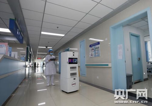 科研團隊要攥緊拳頭張開巴掌——記中國工程院院士、合肥工業大學教授楊善林的網絡工程之道